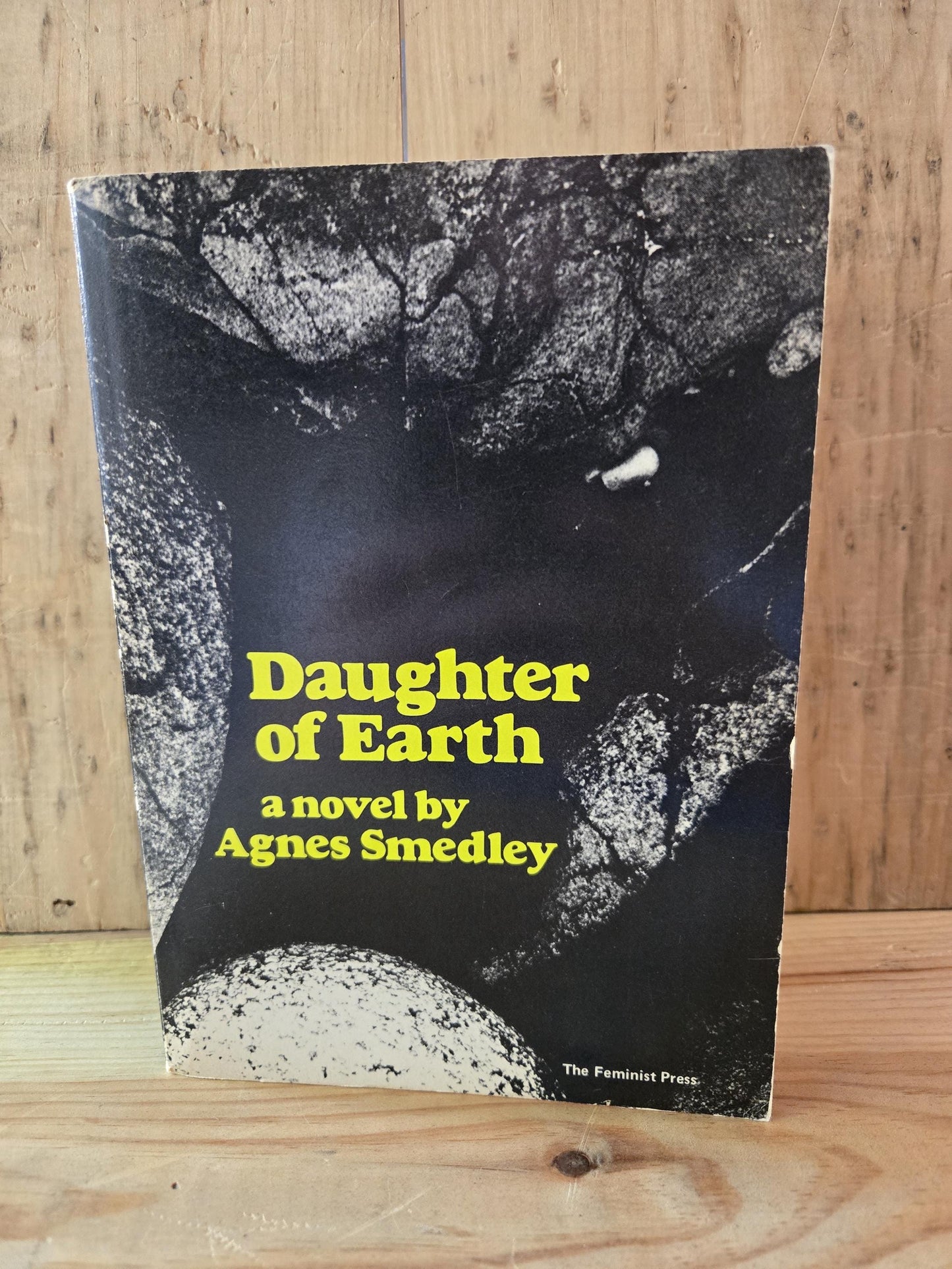 Daughter of Earth // Agnes Smedley // 1972 // Vintage Paperback