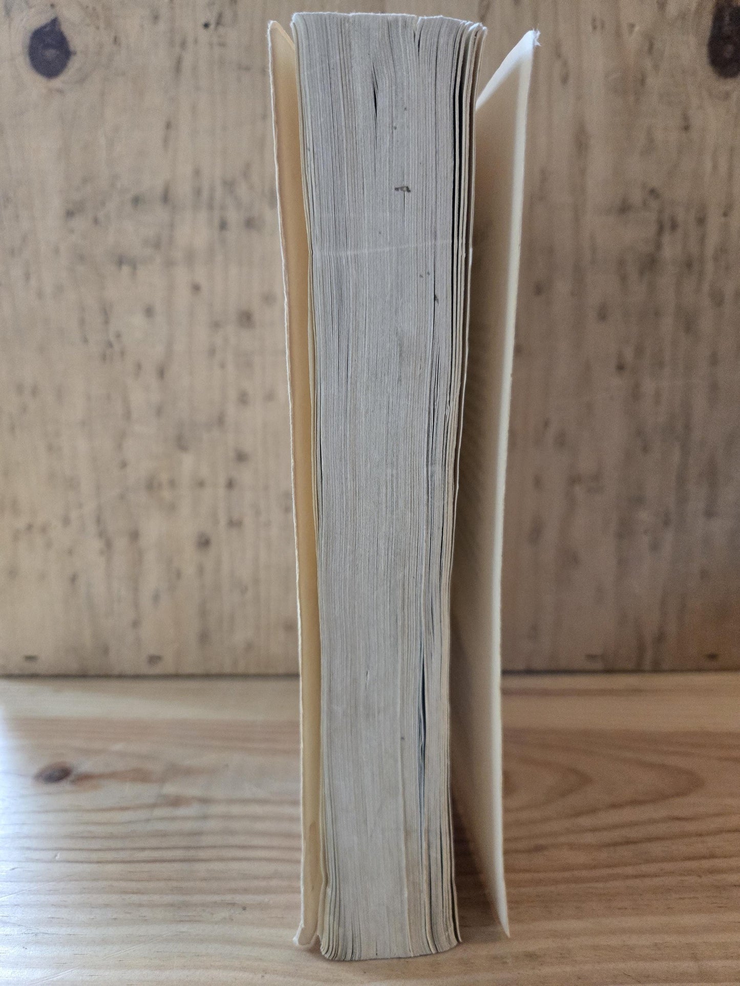 The Master and Margarita // Mikhail Bulgakov // 1987 // Vintage Paperback