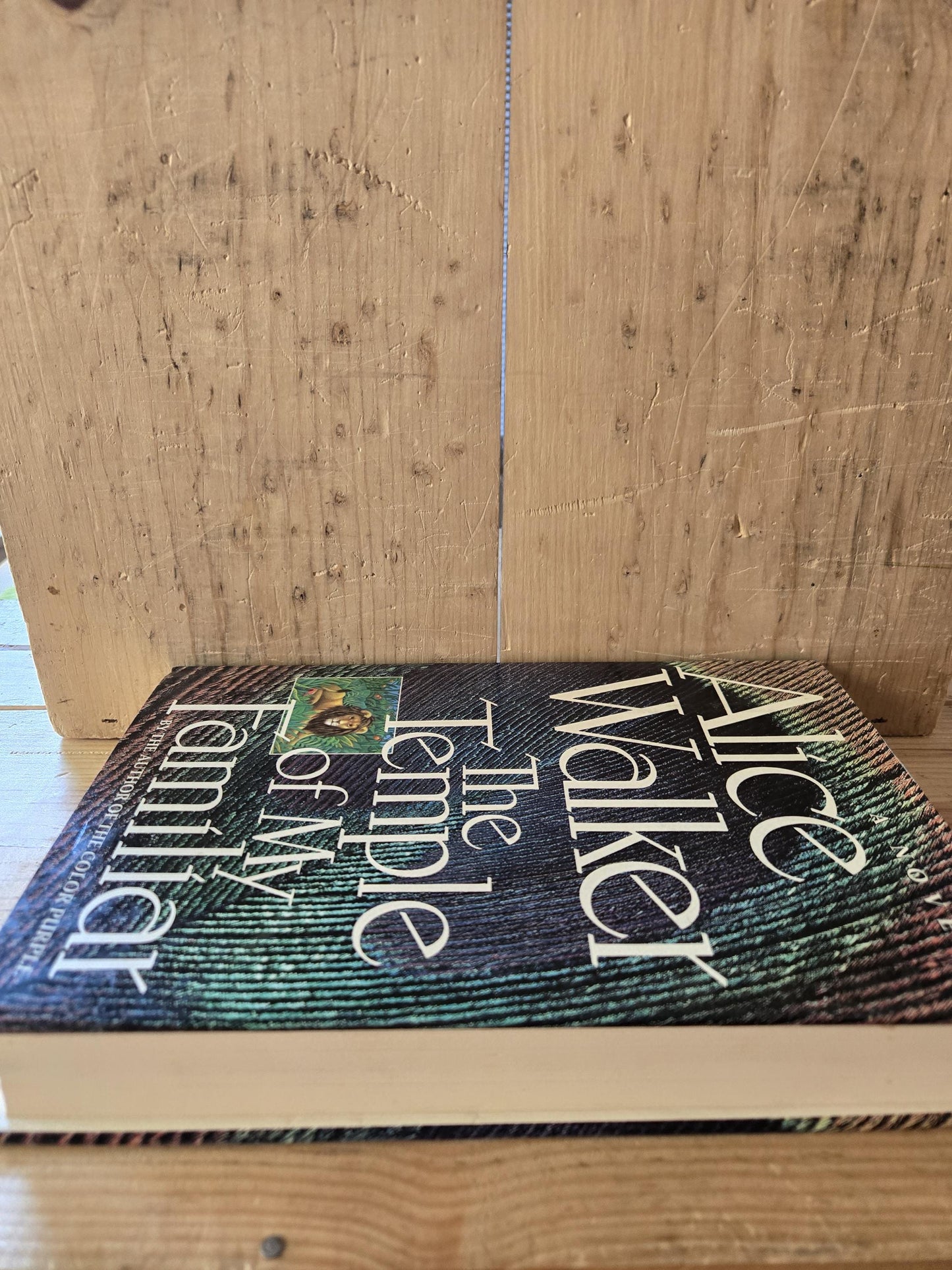 The Temple of My Familiar // Alice Walker // 1st Edition 1989 // Vintage Hardcover