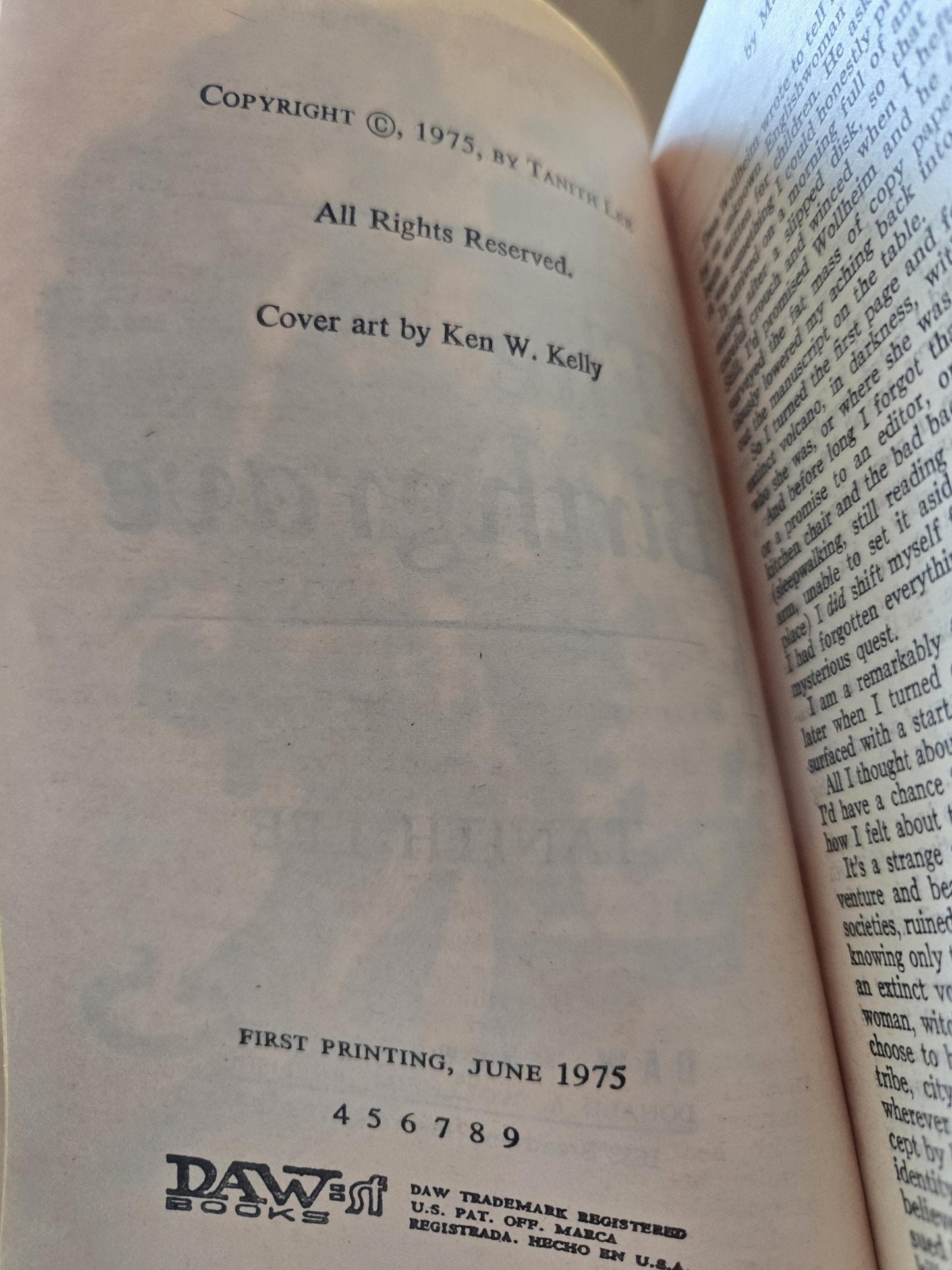 The Birthgrave // Tanith Lee // DAW 4th Printing 1975 // Vintage Paperback Fantasy