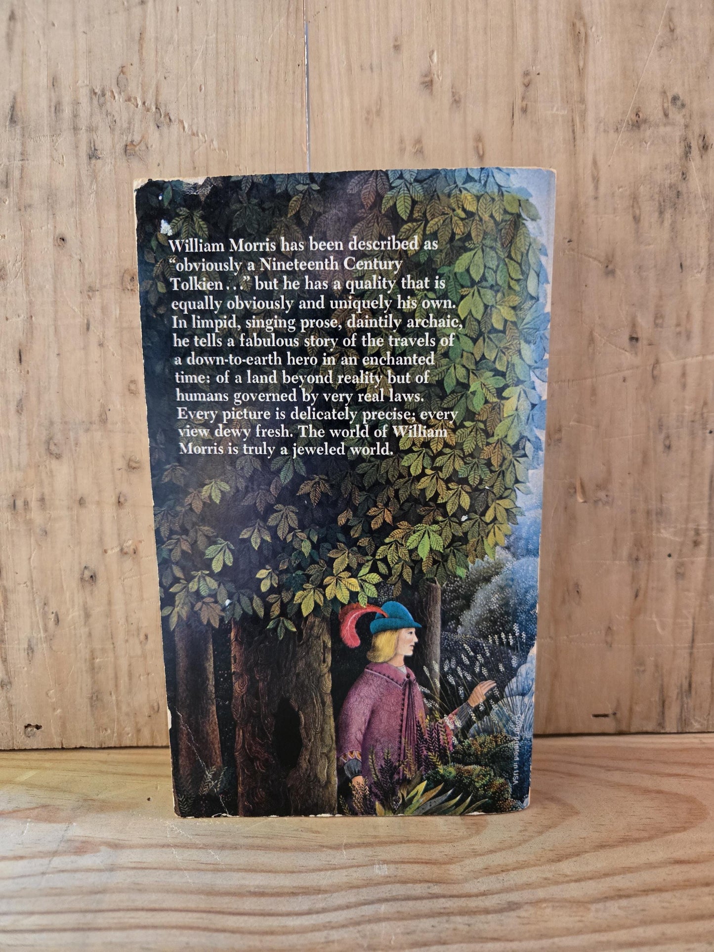 The Wood Beyond The World // William Morris // 1974 // Vintage Paperback Fantasy