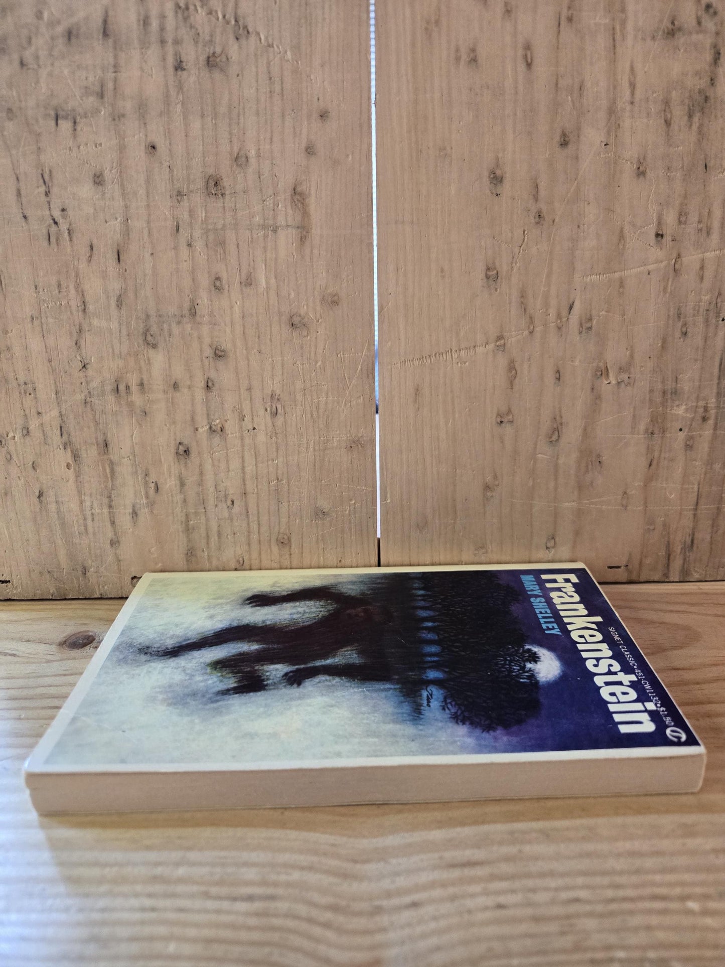 Frankenstein // Mary Shelley // 1965 // Vintage Paperback