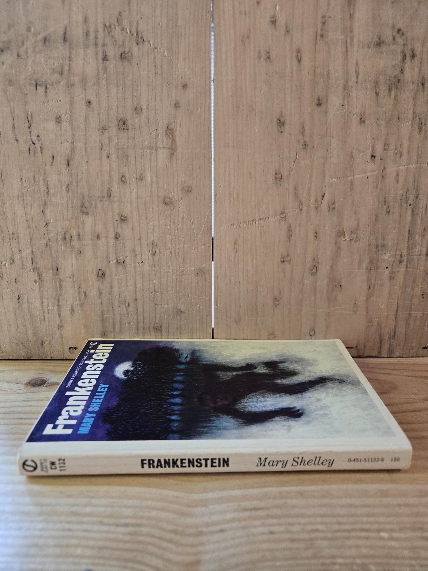 Frankenstein // Mary Shelley // 1965 // Vintage Paperback