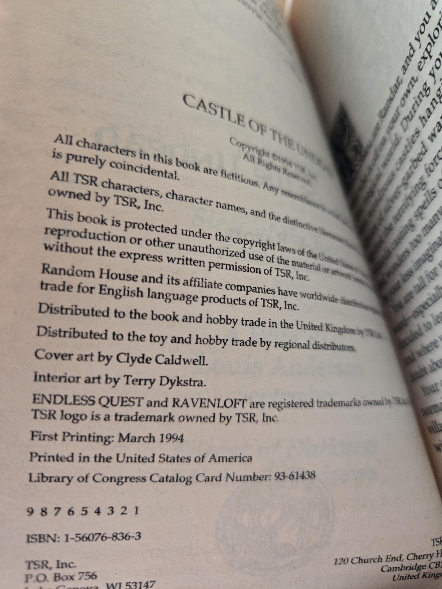 Ravenloft Endless Quest: Castle of the Undead // Nick Baron // 1st Printing 1994 // Vintage Paperback Fantasy Dungeons & Dragons