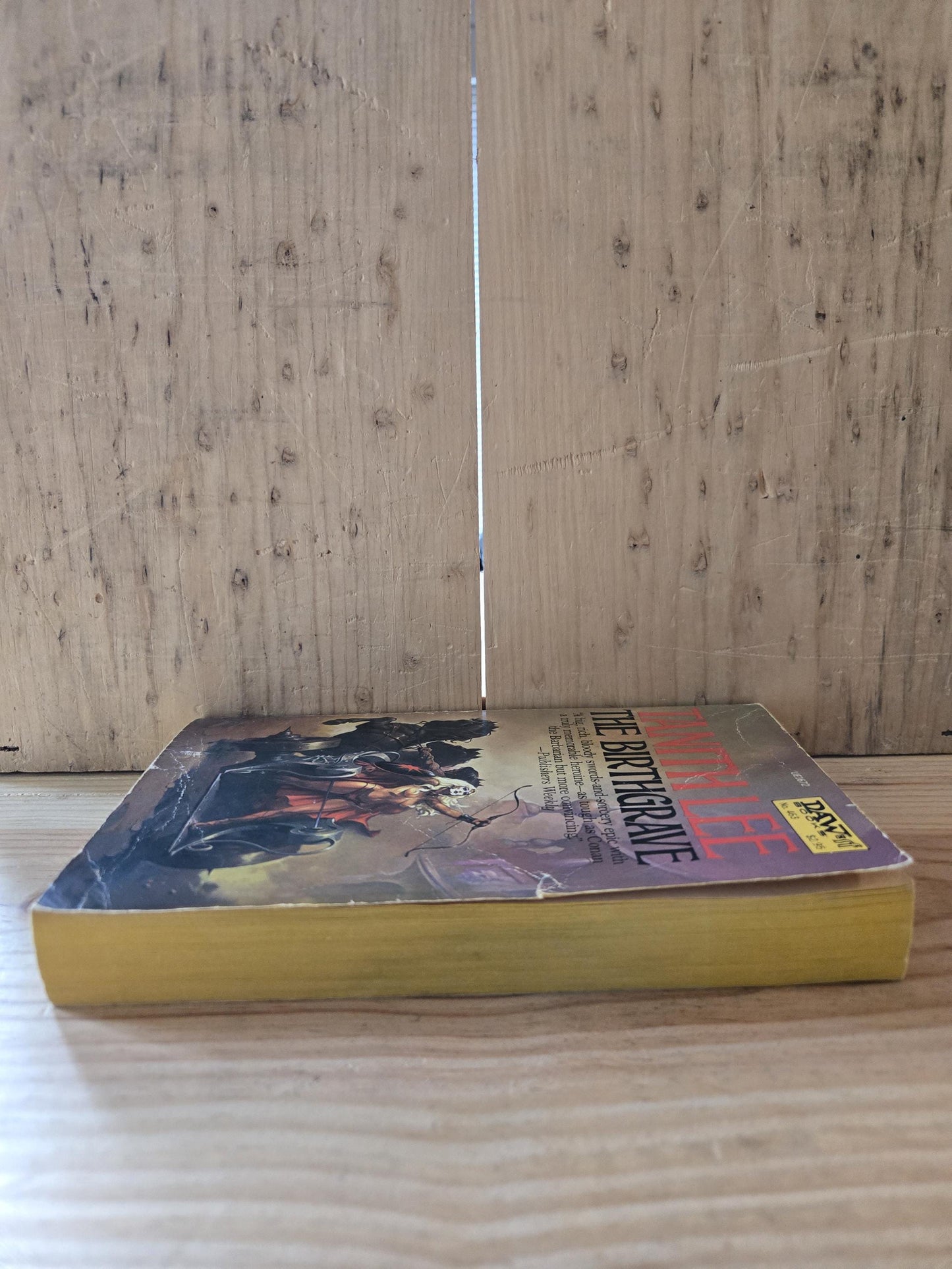 The Birthgrave // Tanith Lee // DAW 4th Printing 1975 // Vintage Paperback Fantasy