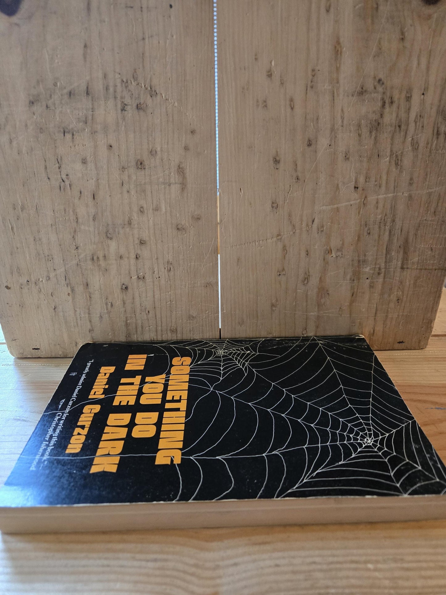 Something You Do In The Dark // Daniel Curzon // 1979 // Vintage Paperback
