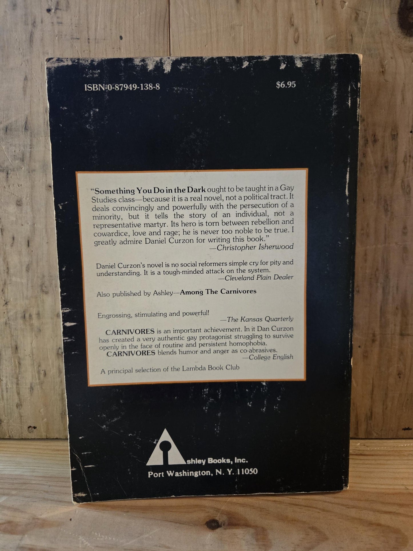 Something You Do In The Dark // Daniel Curzon // 1979 // Vintage Paperback