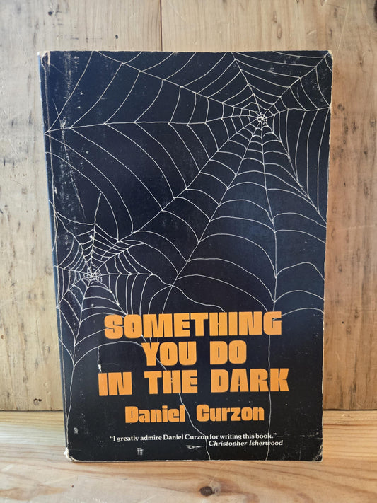 Something You Do In The Dark // Daniel Curzon // 1979 // Vintage Paperback