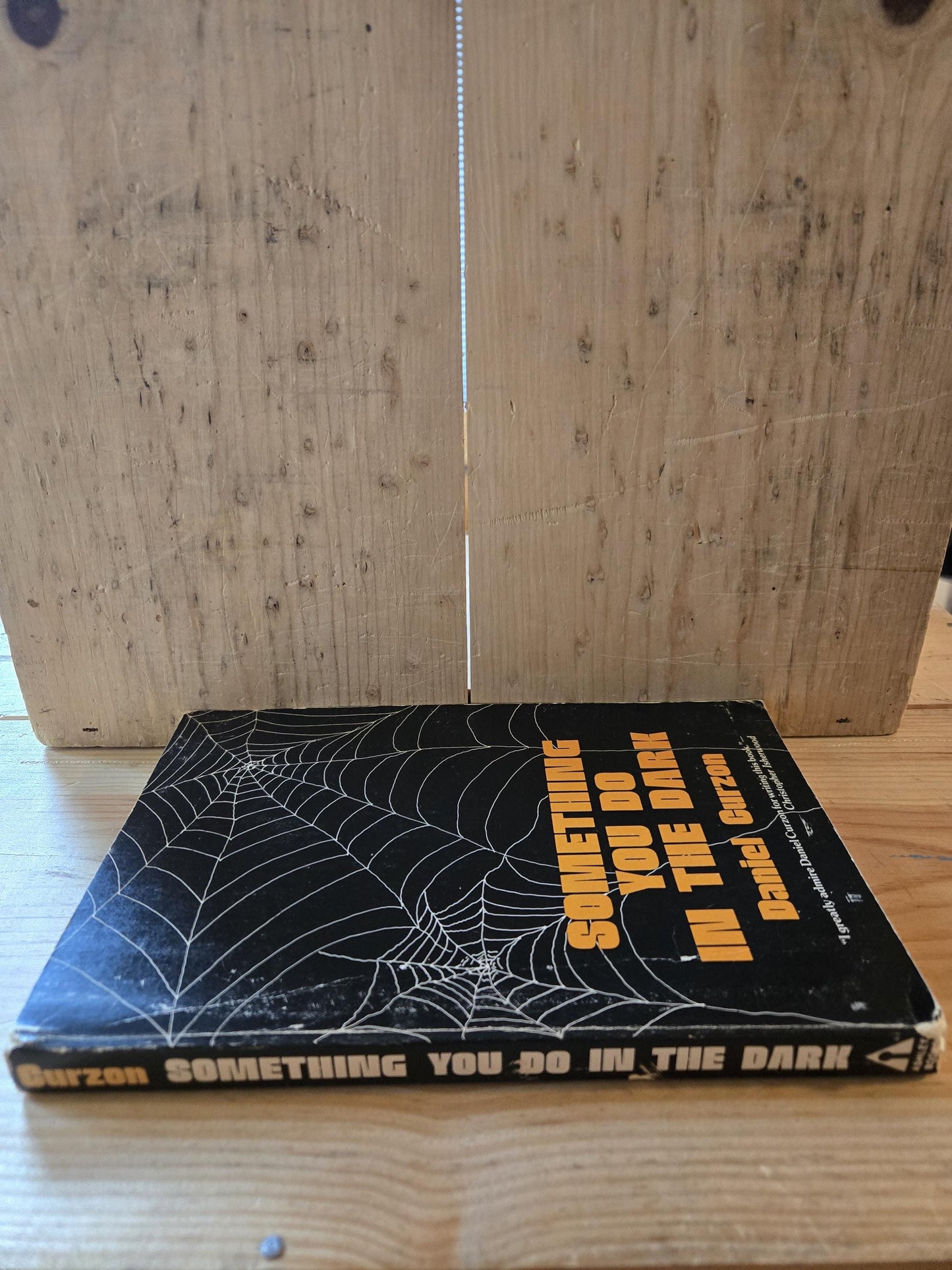 Something You Do In The Dark // Daniel Curzon // 1979 // Vintage Paperback