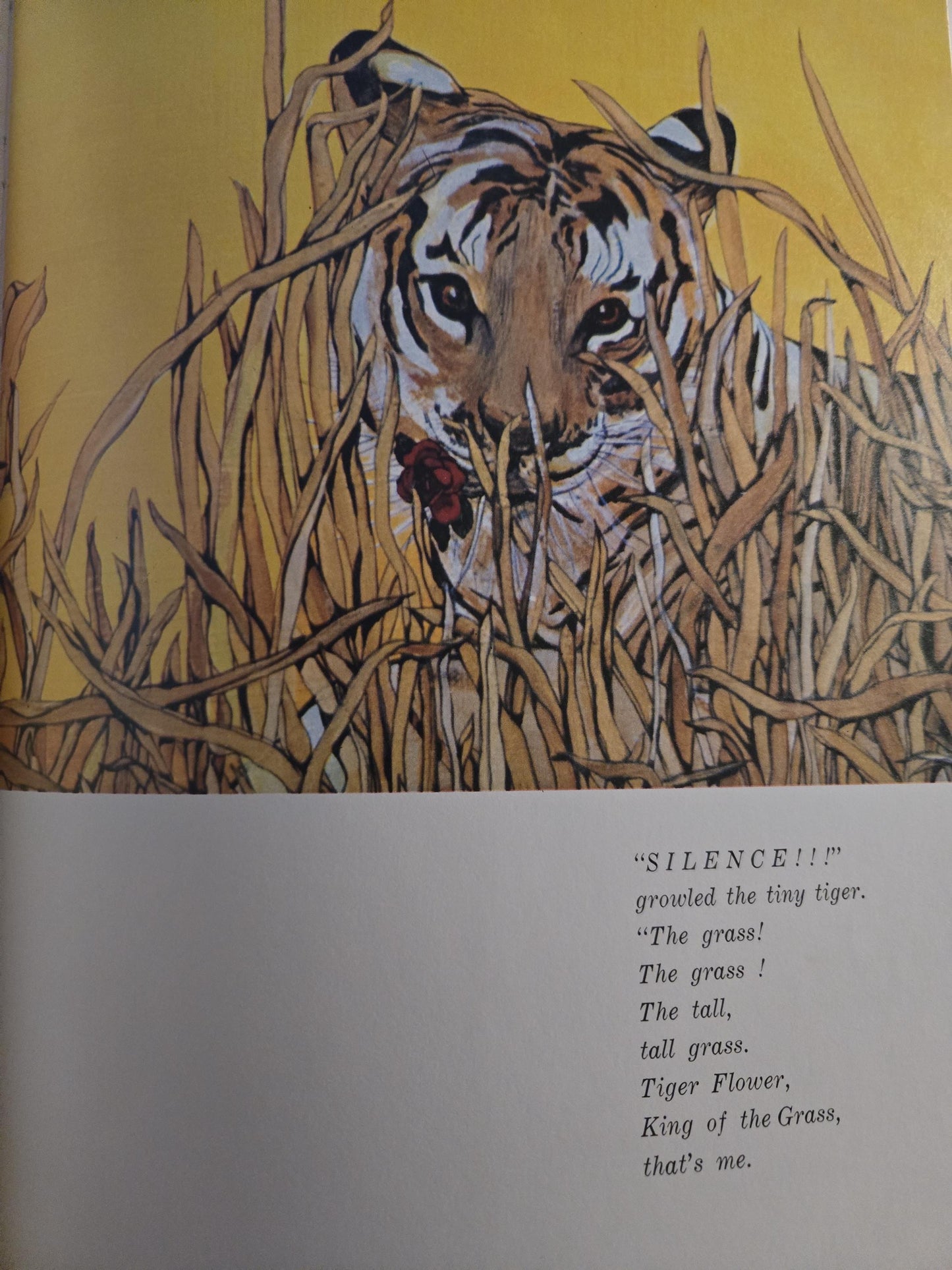 Tiger Flower // Robert Vavra and Fleur Cowles // 1969 // Vintage Hardcover Art Illustrations Book