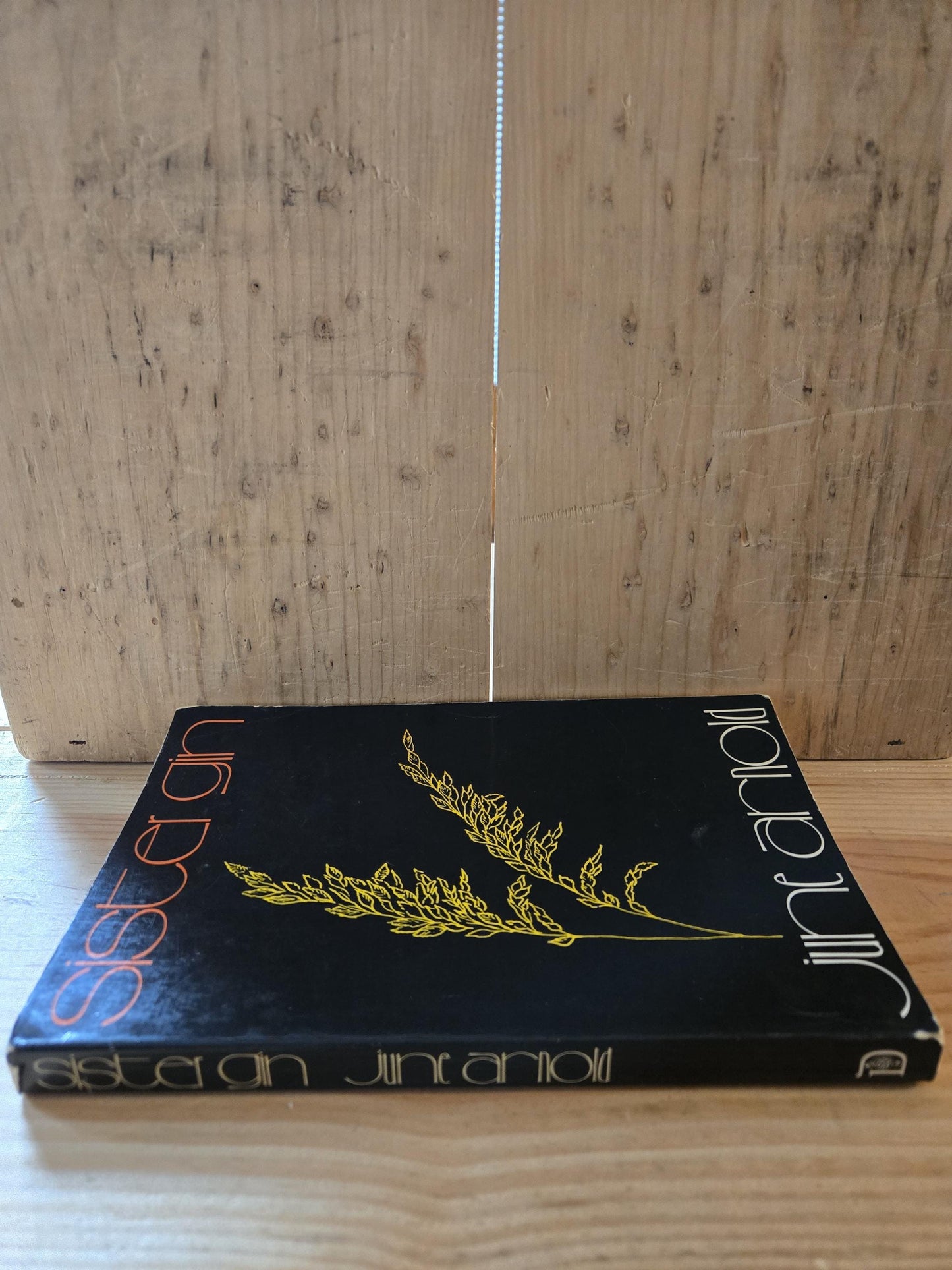 Sister Gin // June Arnold // 1st Paperback Printing 1975 // Vintage Paperback