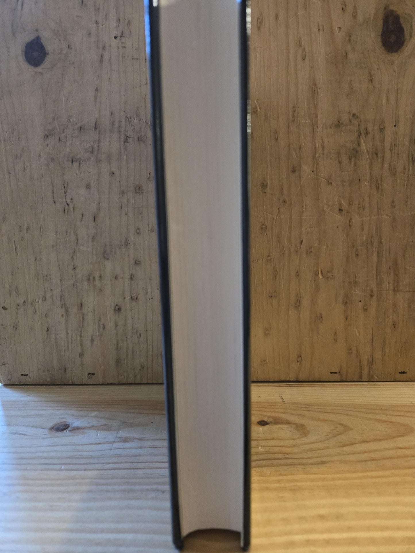 Dracula's Brood // Selected and Introduced by Richard Dalby // 1991 // Vintage Hardcover Horror Suspense