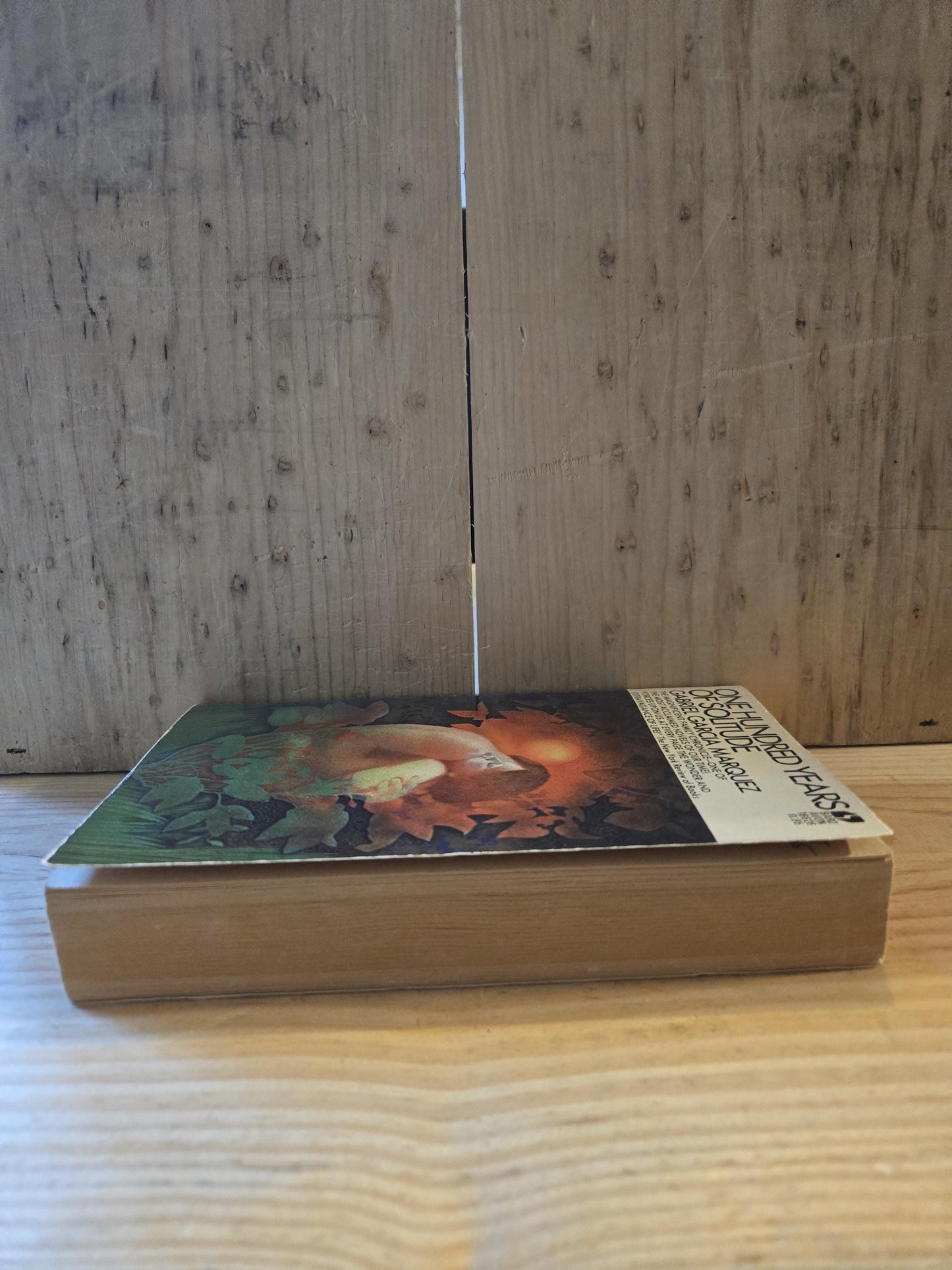 One Hundred Years of Solitude // Gabriel Garcia Marquez // 12th Printing 1971 // Vintage Paperback Magical Realism