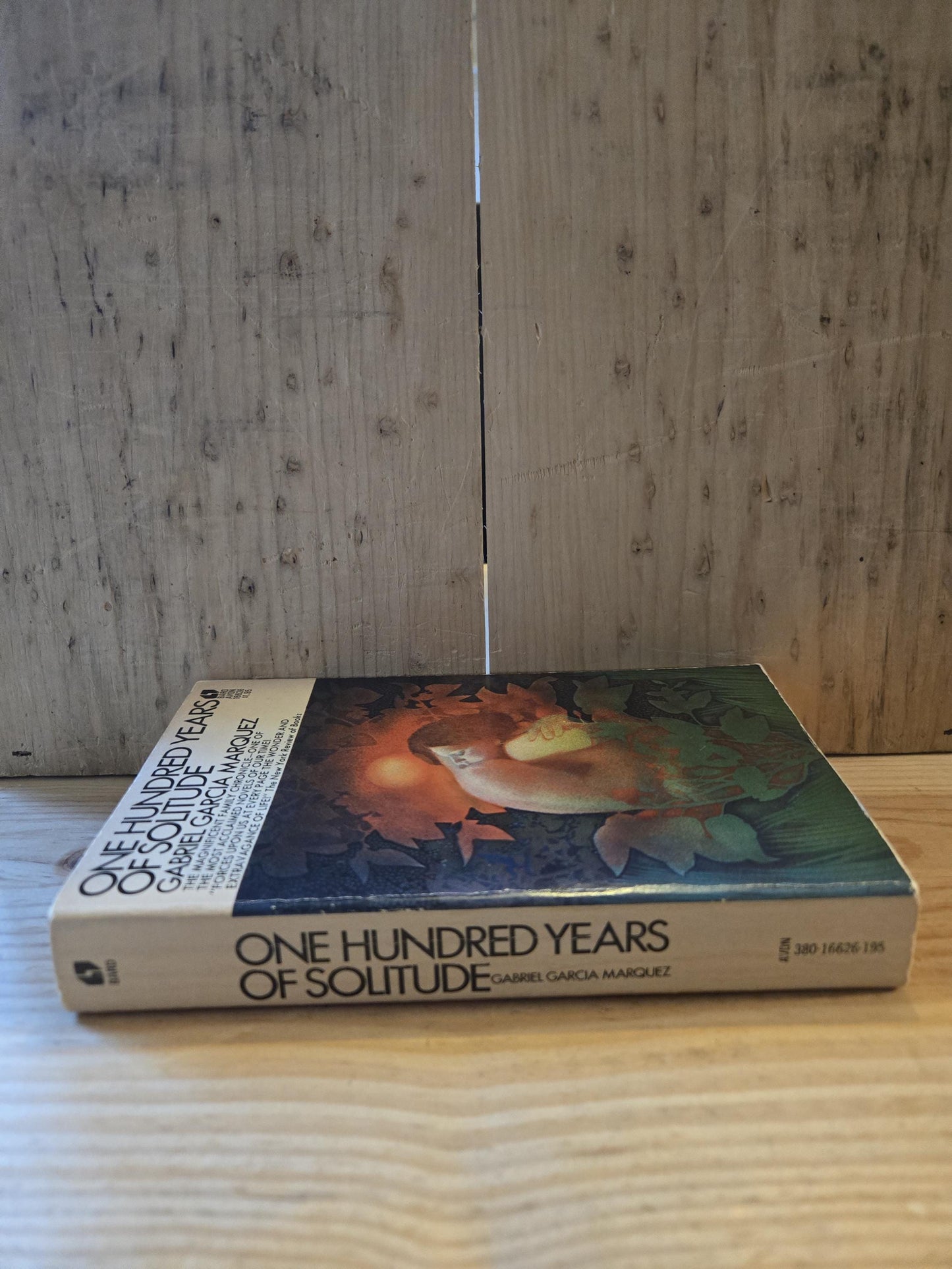 One Hundred Years of Solitude // Gabriel Garcia Marquez // 12th Printing 1971 // Vintage Paperback Magical Realism